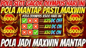 Pola Maxwin Olympus Terbaru